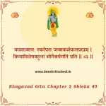 Bhagavad Gita Chapter 2 Shloka 43 | श्रीमद्भगवद्गीता Bhagavad Gita Chapter 2 image