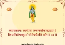 Bhagavad Gita Chapter 2 Shloka 43 | श्रीमद्भगवद्गीता Bhagavad Gita Chapter 2 image
