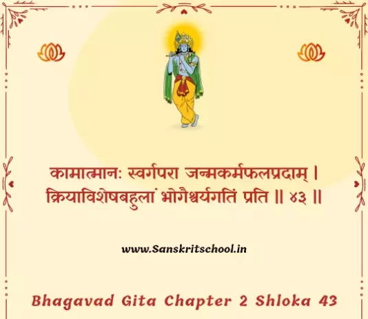 Bhagavad Gita Chapter 2 Shloka 43 | श्रीमद्भगवद्गीता Bhagavad Gita Chapter 2 image