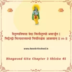 Bhagavad Gita Chapter 2 Shloka 45 | श्रीमद्भगवद्गीता Bhagavad Gita Chapter 2 image