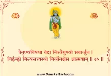 Bhagavad Gita Chapter 2 Shloka 45 | श्रीमद्भगवद्गीता Bhagavad Gita Chapter 2 image