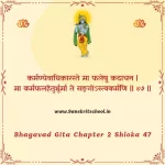 Bhagavad Gita Chapter 2 Shloka 47 | श्रीमद्भगवद्गीता Bhagavad Gita Chapter 2 image