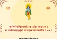 Bhagavad Gita Chapter 2 Shloka 47 | श्रीमद्भगवद्गीता Bhagavad Gita Chapter 2 image