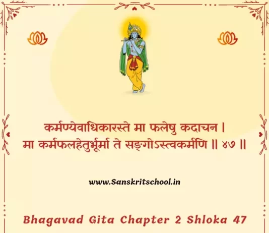 Bhagavad Gita Chapter 2 Shloka 47 | श्रीमद्भगवद्गीता Bhagavad Gita Chapter 2 image
