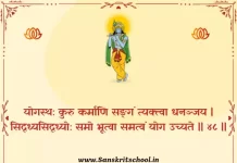 Bhagavad Gita Chapter 2 Shloka 48 | श्रीमद्भगवद्गीता Bhagavad Gita Chapter 2 Shloka image