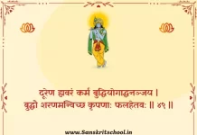 Bhagavad Gita Chapter 2 Shloka 49 | श्रीमद्भगवद्गीता Bhagavad Gita Chapter 2 image