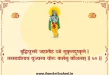 Bhagavad Gita Chapter 2 Shloka 50 | श्रीमद्भगवद्गीता Bhagavad Gita Chapter 2 Shloka image