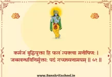 Bhagavad Gita Chapter 2 Shloka 51 | рд╢реНрд░реАрдорджреНрднрдЧрд╡рджреНрдЧреАрддрд╛ Bhagavad Gita Chapter 2 image