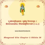 Bhagavad Gita Chapter 2 Shloka 56 | рд╢реНрд░реАрдорджреНрднрдЧрд╡рджреНрдЧреАрддрд╛ Bhagavad Gita Chapter 2 Shloka image