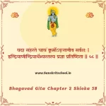 Bhagavad Gita Chapter 2 Shloka 58 | श्रीमद्भगवद्गीता Bhagavad Gita Chapter 2 Shloka image
