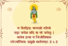 Bhagavad Gita Chapter 2 Shloka 6 | श्रीमद्भगवद्गीता Bhagavad Gita Chapter 2 image