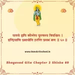 Bhagavad Gita Chapter 2 Shloka 60 | श्रीमद्भगवद्गीता Bhagavad Gita Chapter 2 Shloka image