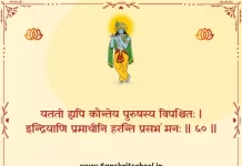 Bhagavad Gita Chapter 2 Shloka 60 | श्रीमद्भगवद्गीता Bhagavad Gita Chapter 2 Shloka image