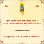 Bhagavad Gita Chapter 2 Shloka 61 | श्रीमद्भगवद्गीता Bhagavad Gita Chapter 2 image