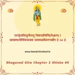 Bhagavad Gita Chapter 2 Shloka 64 | श्रीमद्भगवद्गीता Bhagavad Gita Chapter 2 Shloka image