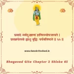 Bhagavad Gita Chapter 2 Shloka 65 | श्रीमद्भगवद्गीता Bhagavad Gita Chapter 2 image