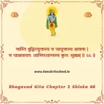 Bhagavad Gita Chapter 2 Shloka 66 | श्रीमद्भगवद्गीता Bhagavad Gita Chapter 2 Shloka image