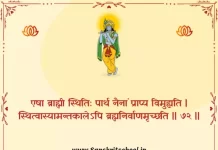 Bhagavad Gita Chapter 2 Shloka 72 | श्रीमद्भगवद्गीता Bhagavad Gita Chapter 2 Shloka image