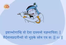 Bhagavad Gita Chapter 3 Shloka 12 | श्रीमद्भगवद्गीता Bhagavad Gita Chapter 3 image