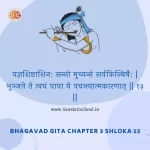 Bhagavad Gita Chapter 3 Shloka 13 | श्रीमद्भगवद्गीता Bhagavad Gita Chapter 3 Shloka image