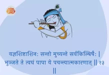 Bhagavad Gita Chapter 3 Shloka 13 | श्रीमद्भगवद्गीता Bhagavad Gita Chapter 3 Shloka image
