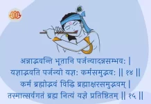 Bhagavad Gita Chapter 3 Shloka 14-15 | श्रीमद्भगवद्गीता Bhagavad Gita Chapter 3 image