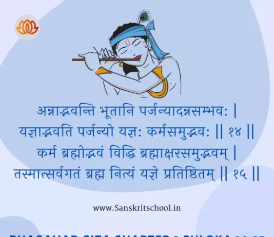 Bhagavad Gita Chapter 3 Shloka 14-15 | श्रीमद्भगवद्गीता Bhagavad Gita Chapter 3 image