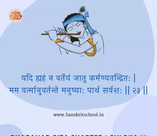 Bhagavad Gita Chapter 3 Shloka 23 | श्रीमद्भगवद्गीता Bhagavad Gita Chapter 3 image