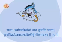 Bhagavad Gita Chapter 3 Shloka 25 | श्रीमद्भगवद्गीता Bhagavad Gita Chapter 3 image