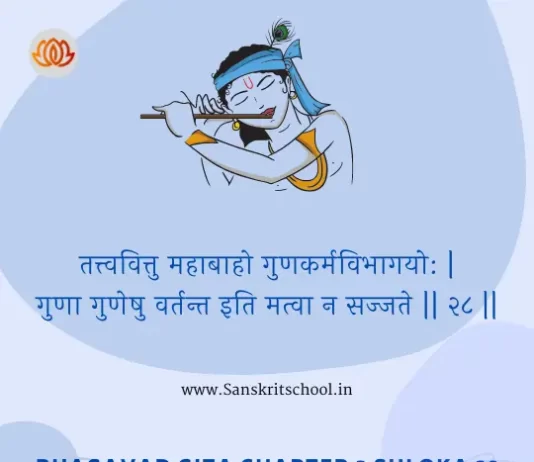 Bhagavad Gita Chapter 3 Shloka 28 | श्रीमद्भगवद्गीता Bhagavad Gita Chapter 3 Shloka image