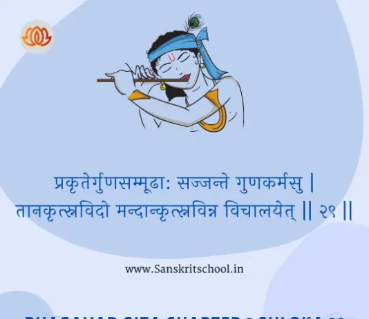 Bhagavad Gita Chapter 3 Shloka 29 | श्रीमद्भगवद्गीता Bhagavad Gita Chapter 3 image