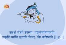 Bhagavad Gita Chapter 3 Shloka 33 | श्रीमद्भगवद्गीता Bhagavad Gita Chapter 3 image