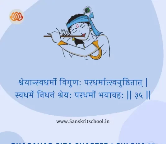 Bhagavad Gita Chapter 3 Shloka 35 | श्रीमद्भगवद्गीता Bhagavad Gita Chapter 3 image