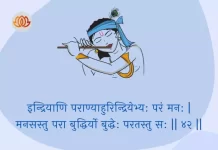 Bhagavad Gita Chapter 3 Shloka 42 | श्रीमद्भगवद्गीता Bhagavad Gita Chapter 3 Shloka image