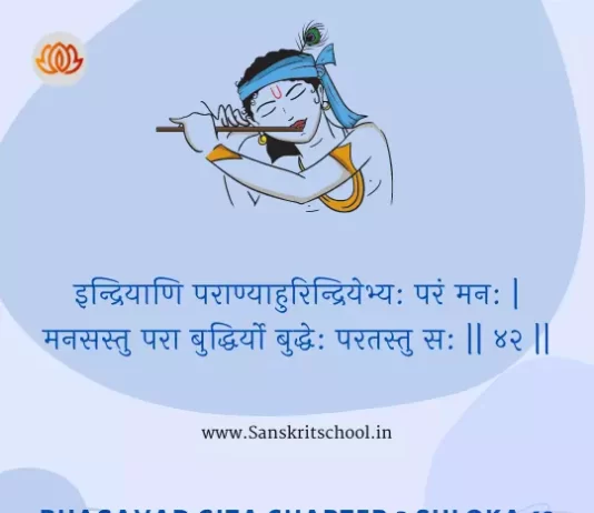 Bhagavad Gita Chapter 3 Shloka 42 | рд╢реНрд░реАрдорджреНрднрдЧрд╡рджреНрдЧреАрддрд╛ Bhagavad Gita Chapter 3 Shloka image