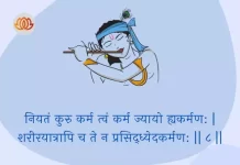 Bhagavad Gita Chapter 3 Shloka 8 | श्रीमद्भगवद्गीता Bhagavad Gita Chapter 3 image