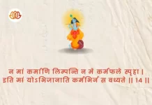 Bhagavad Gita Chapter 4 Shloka 14 | श्रीमद्भगवद्गीता Bhagavad Gita Chapter 4 Shloka image