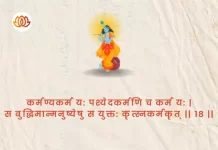 Bhagavad Gita Chapter 4 Shloka 18 | श्रीमद्भगवद्गीता Bhagavad Gita Chapter 4 Shloka image