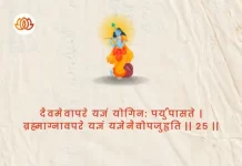 Bhagavad Gita Chapter 4 Shloka 25 | श्रीमद्भगवद्गीता Bhagavad Gita Chapter 4 image