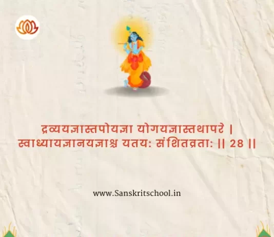 Bhagavad Gita Chapter 4 Shloka 28 | श्रीमद्भगवद्गीता Bhagavad Gita Chapter 4 Shloka image