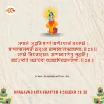 Bhagavad Gita Chapter 4 Shloka 29-30 | श्रीमद्भगवद्गीता Bhagavad Gita Chapter 4 image