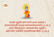 Bhagavad Gita Chapter 4 Shloka 29-30 | श्रीमद्भगवद्गीता Bhagavad Gita Chapter 4 image