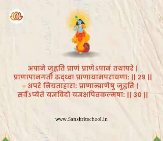 Bhagavad Gita Chapter 4 Shloka 29-30 | श्रीमद्भगवद्गीता Bhagavad Gita Chapter 4 image