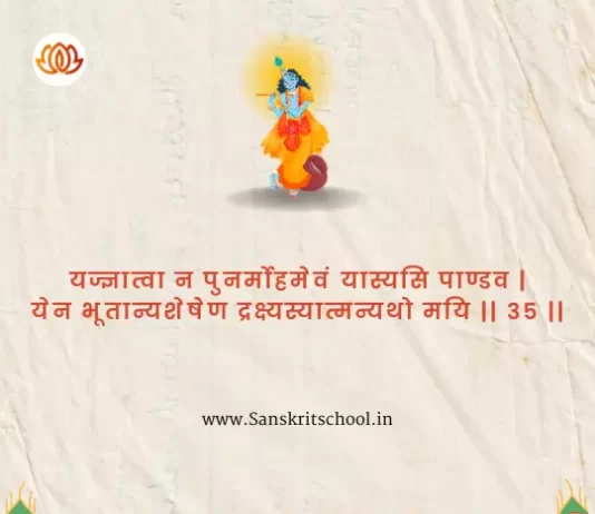 Bhagavad Gita Chapter 4 Shloka 35 | श्रीमद्भगवद्गीता Bhagavad Gita Chapter 4 Shloka image
