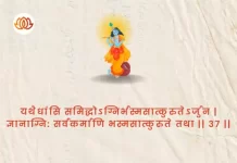 Bhagavad Gita Chapter 4 Shloka 37 | श्रीमद्भगवद्गीता Bhagavad Gita Chapter 4 Shloka image