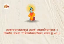 Bhagavad Gita Chapter 4 Shloka 42 | श्रीमद्भगवद्गीता Bhagavad Gita Chapter 4 image