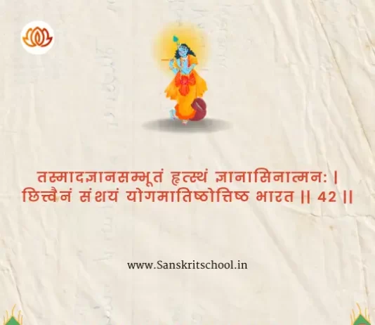 Bhagavad Gita Chapter 4 Shloka 42 | श्रीमद्भगवद्गीता Bhagavad Gita Chapter 4 image