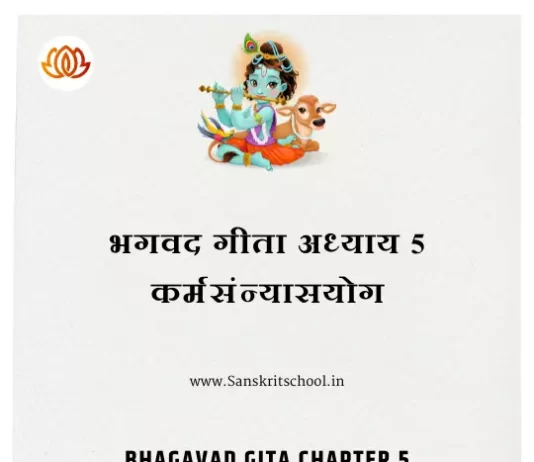 Srimad Bhagavad Gita Chapter 5 | कर्मसंन्यासयोग Bhagavad Gita Chapter 5 image