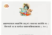 Bhagavad Gita Chapter 5 Shloka 11 | श्रीमद्भगवद्गीता Bhagavad Gita Chapter 5 image