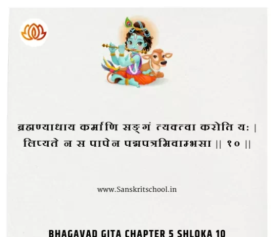 Bhagavad Gita Chapter 5 Shloka 10 | श्रीमद्भगवद्गीता Bhagavad Gita Chapter 5 image